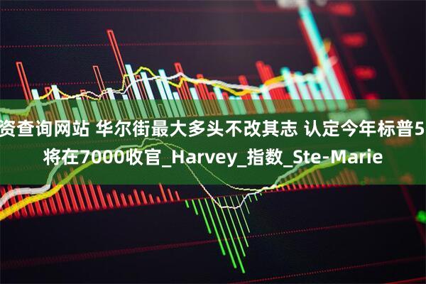 配资查询网站 华尔街最大多头不改其志 认定今年标普500将在7000收官_Harvey_指数_Ste-Marie